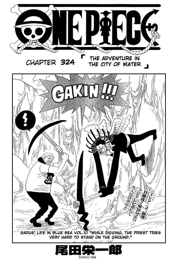 One Piece Chapter 324 1